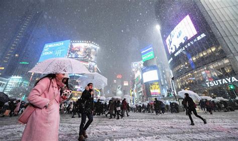 東京最冷多少度：探究其極限與氣候變化的故事